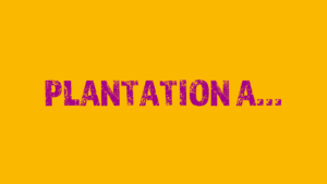 Plantation A . . .