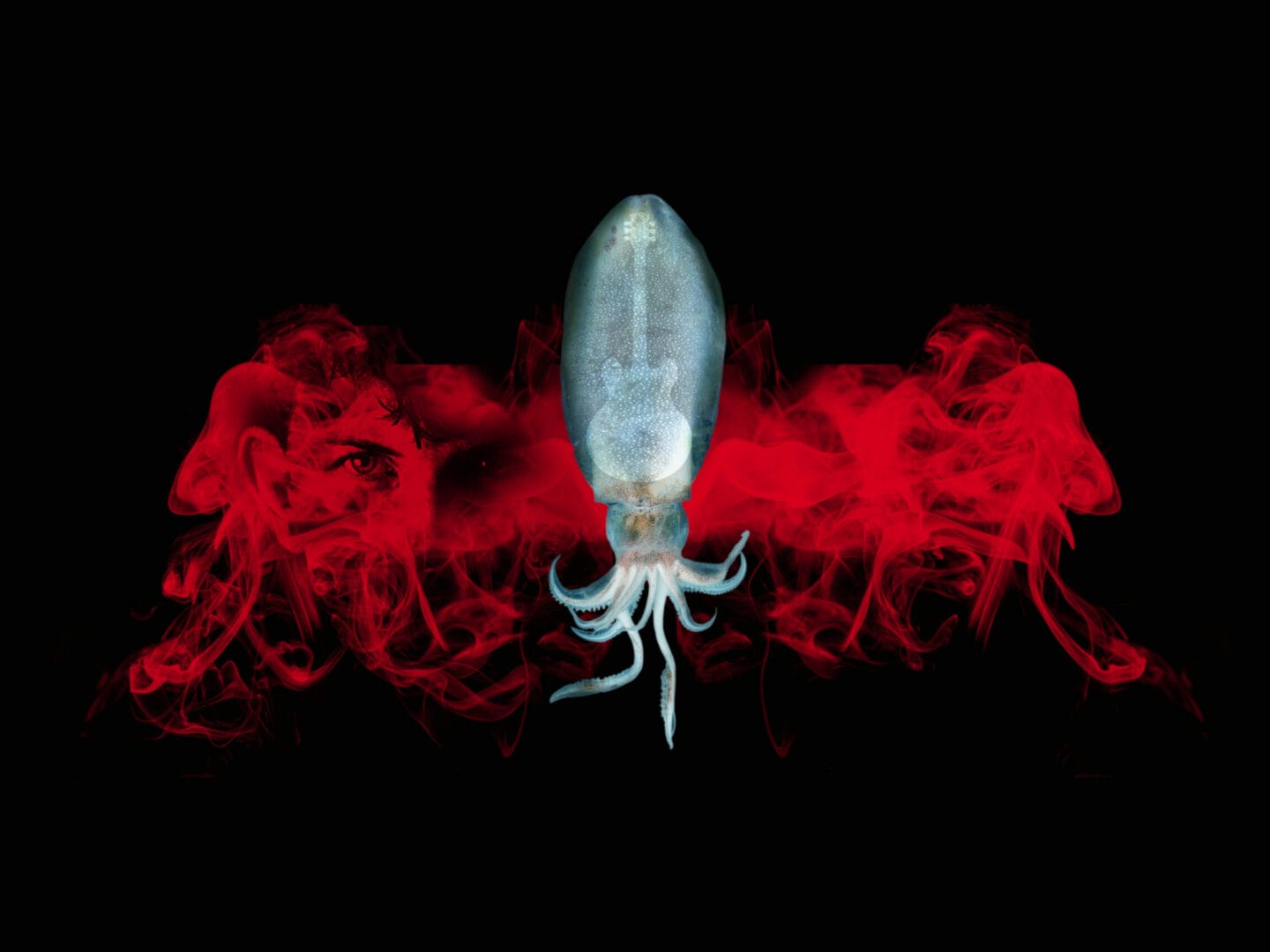 SQUID: A Victim Impact Statement